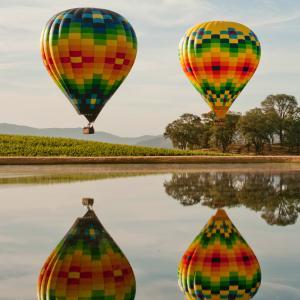 Napa Valley Aloft Balloon Rides photo
