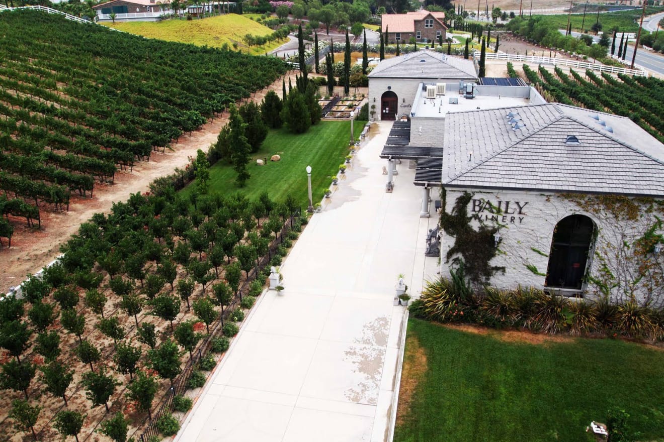 aerial view of vineyard and building