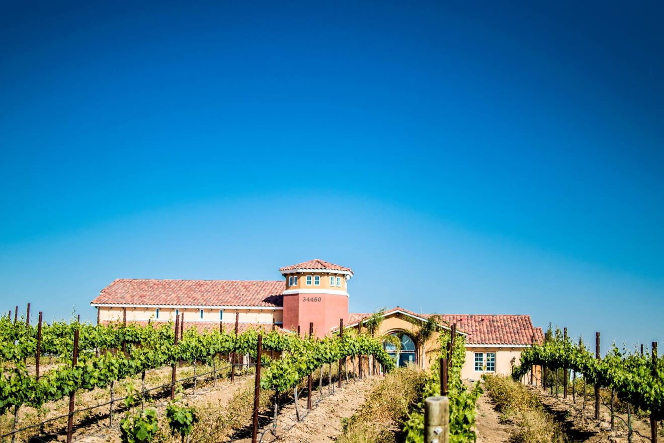 vineyard with building in backdrop